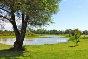 Holiday Home in Camargue with Private Pool Vacation rental in Arles