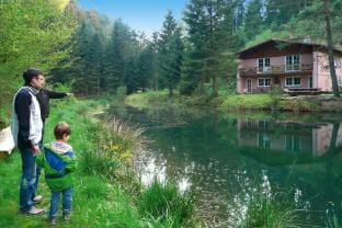 Apartment in Alsace with Nature Retreat Apartment in Grand Est
