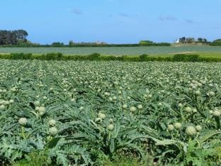 Holiday Home in Brittany with Sea View Vacation rental in Cléder