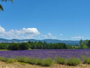 Holiday Home in Pertuis with Private Pool Vacation rental in Pertuis