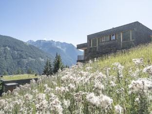 Chalet Resort am Grossglockner with infrared cabin Vacation rental in Salzburgerland