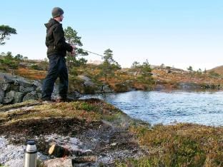 person holiday home in Kviby-By Traum Vacation rental in Troms Og Finnmark