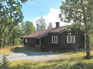 person holiday home in NESBYEN-By Traum Vacation rental in Viken, Norway
