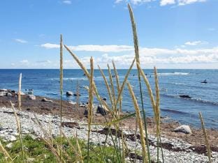 person holiday home in SMYGEHAMN Vacation rental in Skåne County