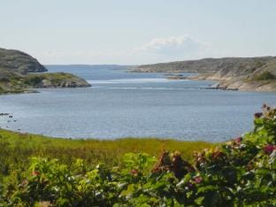 person holiday home in HALLEVIKSSTRAND-By Traum Vacation rental in Västra Götaland County