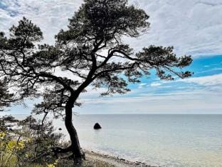 Modern Beach Cottage in Tofta, Gotland Vacation rental in Gotland County, Sweden
