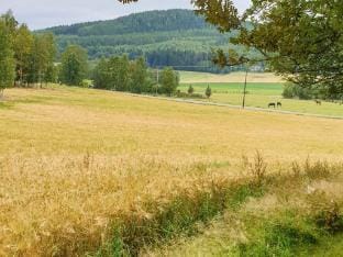 person holiday home in JARVSO-By Traum Vacation rental in Sweden