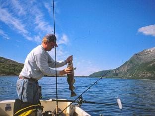 person holiday home in Naustbukta-By Traum Vacation rental in Nordland, Norway