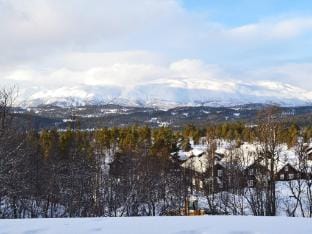 person holiday home in Rauland-By Traum Vacation rental in Viken, Norway