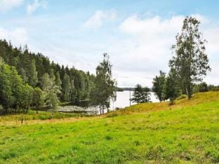 person holiday home in BENGTSFORS-By Traum Vacation rental in Västra Götaland County