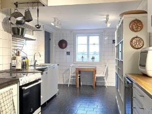 person holiday home in LIDKOPING-By Traum Vacation rental in Västra Götaland County