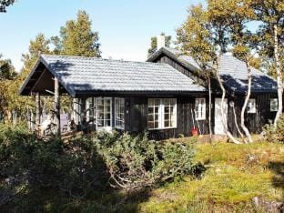 person holiday home in Rennebu-By Traum Vacation rental in Trondelag