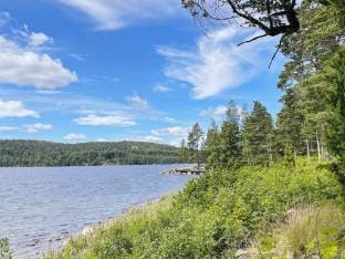 person holiday home in AMAL-By Traum Vacation rental in Västra Götaland County