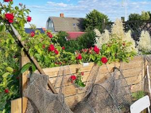 person holiday home in SOLVESBORG-By Traum Vacation rental in Capital Region of Denmark