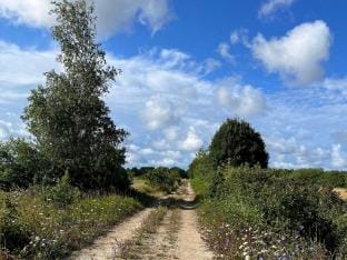 person holiday home in KLINTEHAMN-By Traum Vacation rental in Gotland County, Sweden