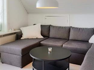 star holiday home in Halmstad Vacation rental in Denmark