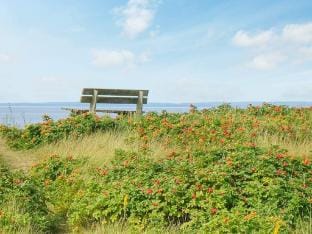 person holiday home in Laholm Vacation rental in Skåne County