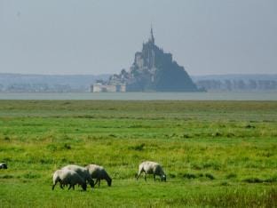 Country House in Normandy near D-Day Beaches Vacation rental in Normandy