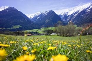 Apartment in Hohe Tauern near Wildkogel Arena Apartment in Salzburgerland