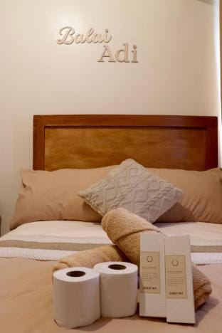 Homey Condo in Mandaluyong - Balai Adi Apartment in Mandaluyong