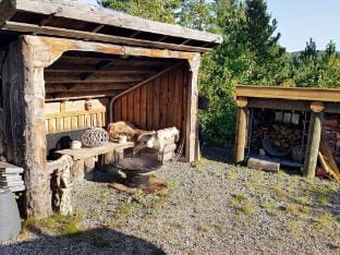 person holiday home in Drangedal-By Traum Vacation rental in Viken, Norway
