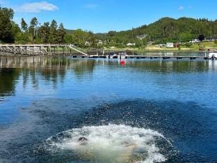 person holiday home in Asenfjord-By Traum Vacation rental in Trondelag