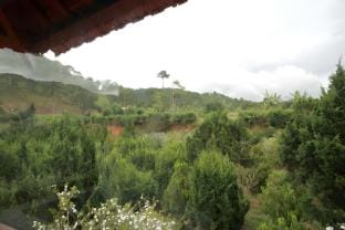 Gỗ Home Apartment in Dalat