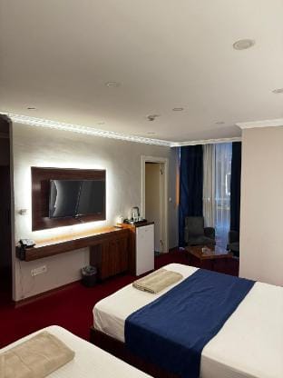 LİON KİNG HOTEL Apartment in Istanbul