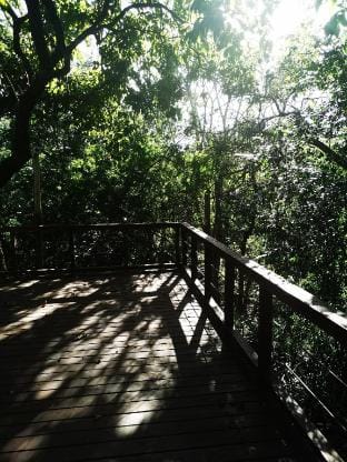 Hardy-da Forest Cottage.   Apartment in South Africa