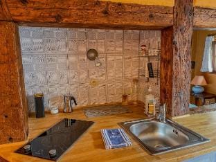 Comfy nest in the heart of Riquewihr Apartment in Grand Est