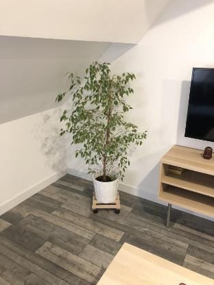 Logement entier en Hyper centre, 40 min de paris Apartment in Île-de-France