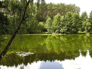 Feriensiedlung Am Grundlossee in Sewekow Vacation rental in Mecklenburgische Seenplatte