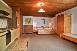 Farmhouse in Carinthia near Afritzer See Apartment in Carinthia, Austria
