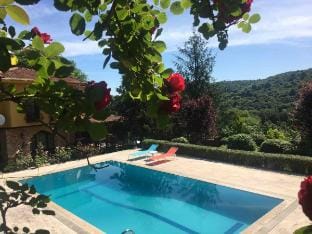 Taş ile ağacın kaynaştığı  yeşilin harmonisi Villa in Istanbul