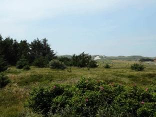Cozy Beach House near Sea - By Traum Ferienwohnungen Vacation rental in Hvide Sande