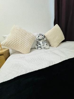 Holloway Haven Cozy Retreat in Islington 2bedrooms Apartment in London Borough of Islington