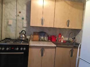 Cozy 1BR, Downtown, English Speaking Host, Wi-Fi Apartment in Almaty