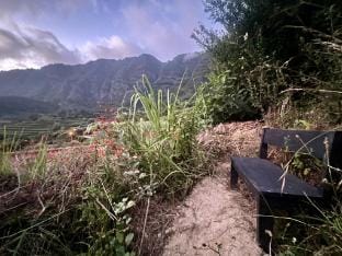 Magical Mountain Retreat - Zembica by Atlantic Holiday Vacation rental in Madeira District