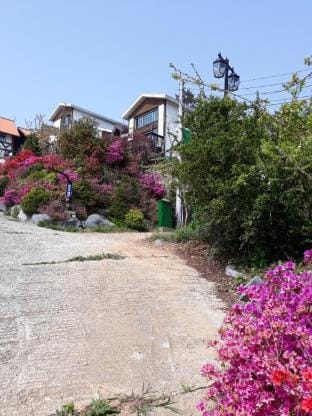 Anmyeondo Haemaru Tourist Farm Bed and Breakfast in South Korea