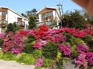 Anmyeondo Haemaru Tourist Farm Bed and Breakfast in South Korea