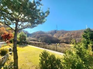 Yeoncheon Pori House Dog Pension Bed and Breakfast in Gyeonggi-do