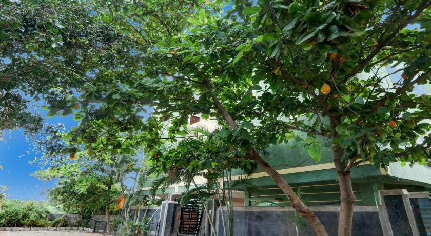 Collection O Kukatpally S Palace Hotel in Hyderabad