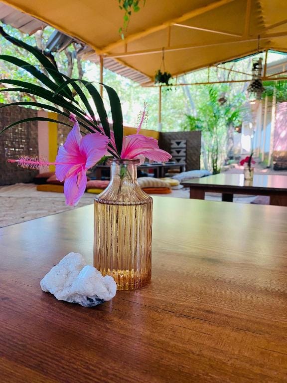 Yoke Goa Hotel in Agonda