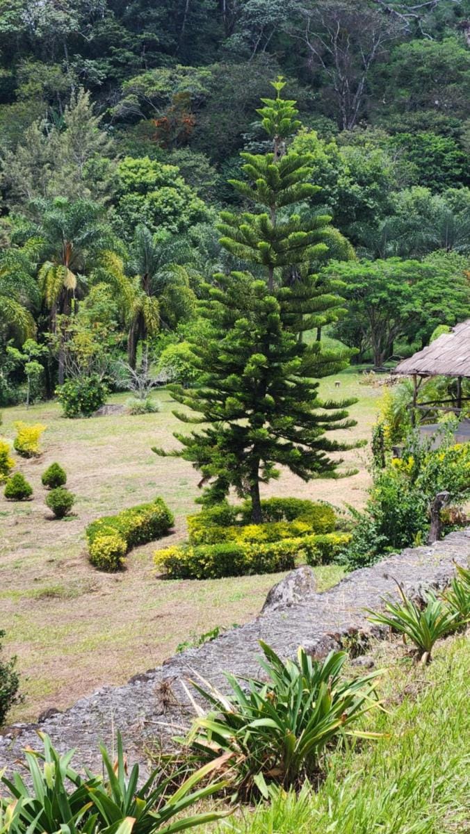 OYO Hotel Rincon De Texolo Campground/ 
RV Resort in State of Puebla