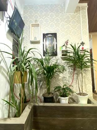 Noor Lyang Apartment in India