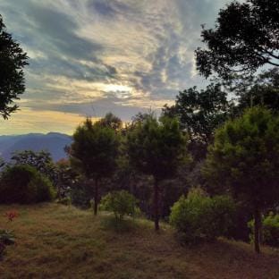 PINE VALLEY RESORT Villa in Uttarakhand