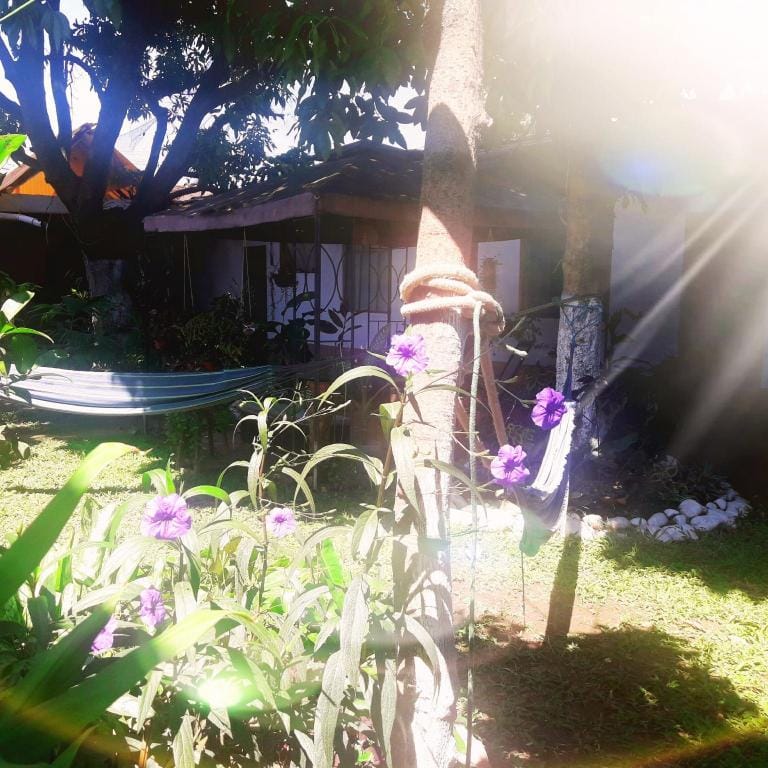 Kitara House Backpackers Hostel Hotel in Tarapoto