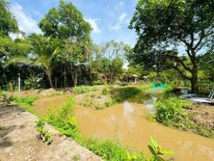Một homestay & cafe mang phong cách tân cổ điển Vacation rental in Cambodia