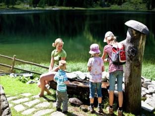 Attractive chalet with sauna Vacation rental in Carinthia, Austria
