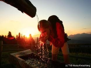 Chalet with indoor hot tub Vacation rental in Carinthia, Austria